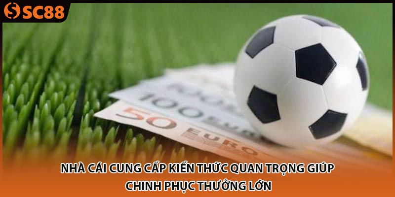 Nhà cái cung cấp kiến thức quan trọng giúp chinh phục thưởng lớn
